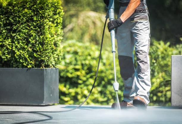 Best Sidewalk and Walkway Cleaning  in Castlewood, VA