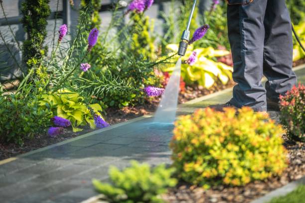 Trusted Castlewood, VA Pressure Washing Experts